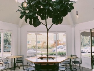 Café Vie It's a Plant Kinda Thing! 268 image 4